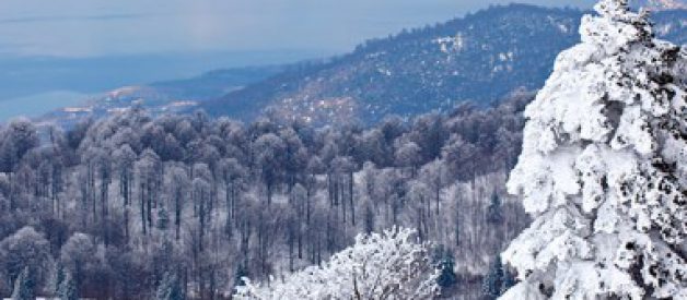 Çorlu Tur Fiyatları ve Güzergah